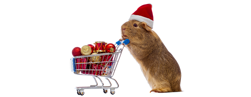 CX Weihnachten Hamster